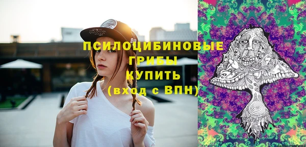 гашик Алексеевка
