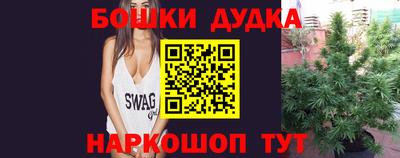 прущие грибы Нальчик