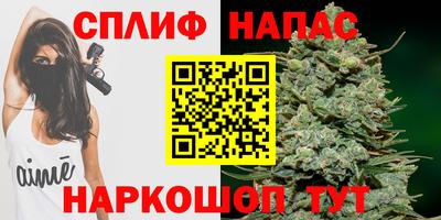 прущие грибы Нальчик