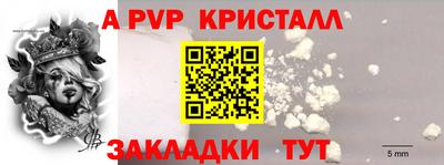 прущие грибы Нальчик