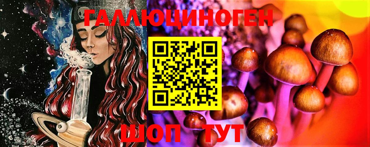 Псилоцибиновые грибы Cubensis Чебоксары