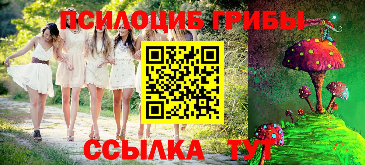 Каннабис  A PVP СОЛЬ   ЭКСТАЗИ  Чебоксары  ГАШ  Вход с VPN  Мефедрон кристаллы 