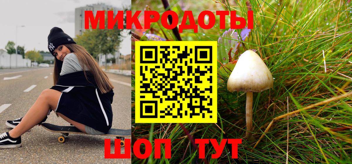 Галлюциногенные грибы прущие грибы  Псилоцибиновые грибы Psilocybe  наркота  Вход с VPN  Чебоксары 